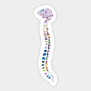 Funfetti Brain and Spine (White Pattern) Sticker